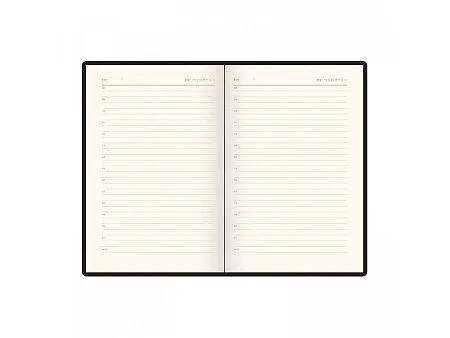 Ежедневник недатированный А5 Boston