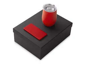 Подарочный набор COLOR IT с термокружкой и повербанком, 5000 mAh