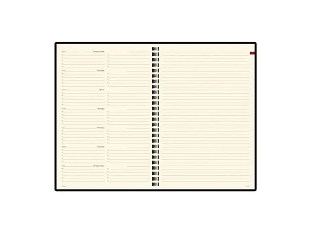 Еженедельник недатированный А5 Concept