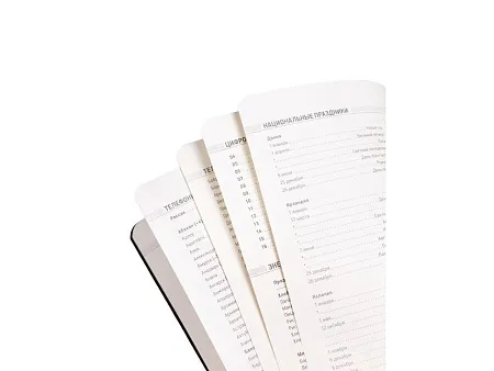 Ежедневник недатированный А5 Megapolis Velvet Flex