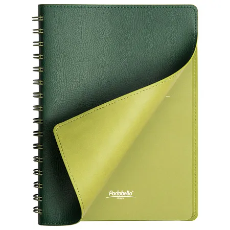 Ежедневник Portobello Trend, Vista, недатированный, зеленый/салатовый