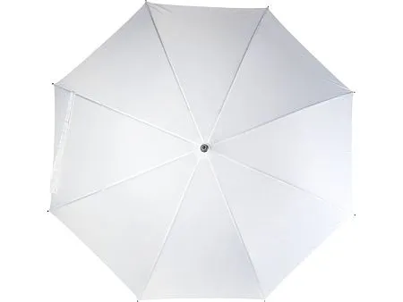 Зонт-трость Ibi