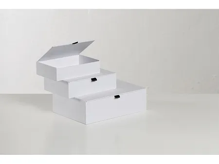 Коробка подарочная White L