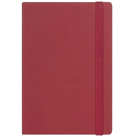 Ежедневник недатированный  Alpha BtoBook, красный