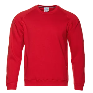 Свитшот Толстовка унисекс 53 13100053