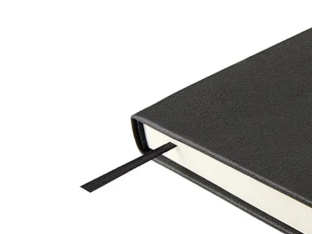 Ежедневник недатированный А5 Status