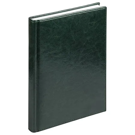 Ежедневник недатированный Birmingham 145х205 мм, без календаря, с лого AvD, зеленый
