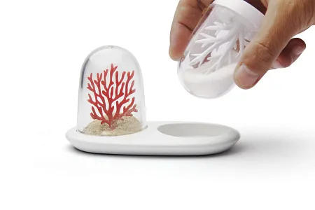 Солонка и перечница Coral Bleaching