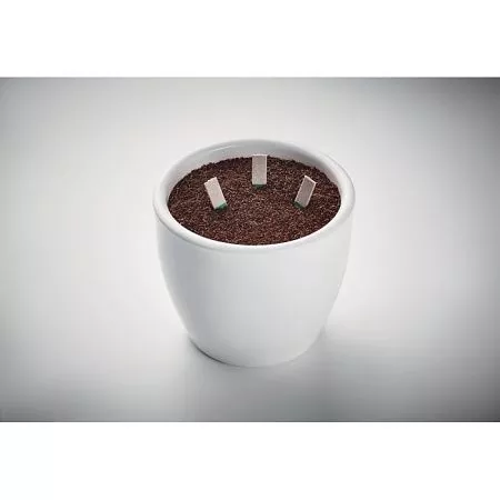 Набор для выращивания семян