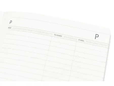 Ежедневник недатированный А5 Megapolis Flex