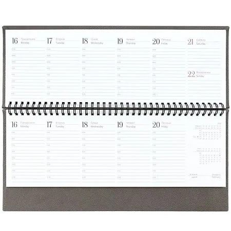 Планинг Sagrin, датированный, серый