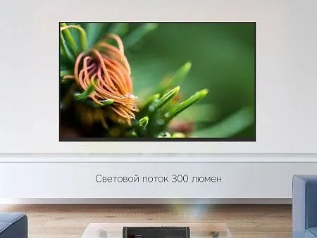 Проектор Ray L300