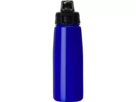 Бутылка с автоматической крышкой Teko, 750 мл