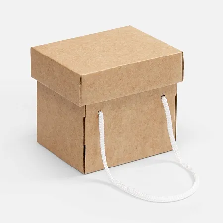 Коробка Kitbag, ver.2, крафт