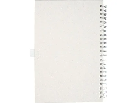 Блокнот на спирали А5 Dairy Dream