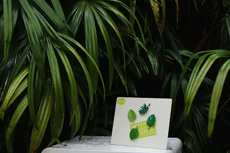 Набор магнитов Тропики