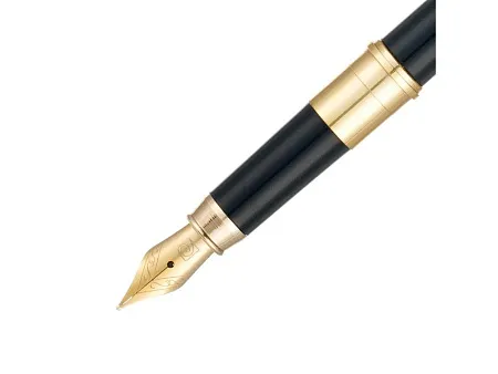 Ручка 2 в 1 шариковая и перьевая Combi Pen