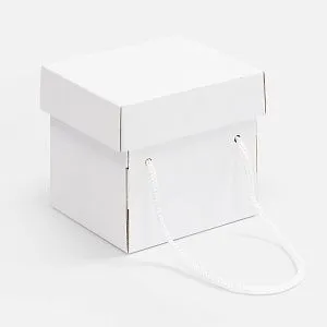 Коробка Kitbag, ver.2, белая