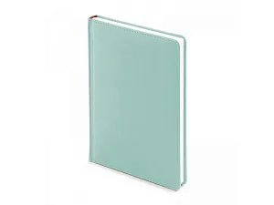 Ежедневник недатированный А5 Velvet