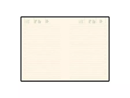 Ежедневник недатированный А5 Megapolis Soft