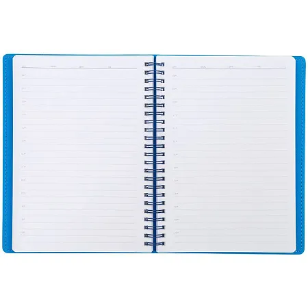 Ежедневник Spring Shall, недатированный, синий