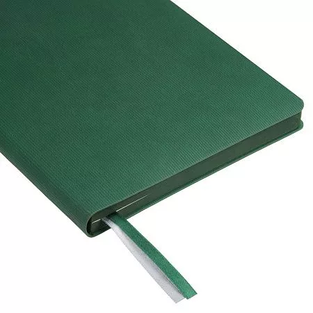 Ежедневник Portobello Trend, Rain, недатированный, зеленый (без упаковки, без стикера)