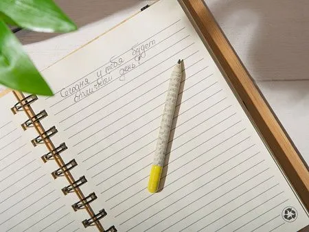 Растущий карандаш mini с семенами акации серебристой