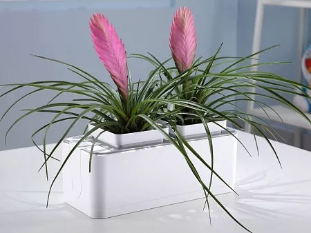 Компактный смарт-сад iGarden