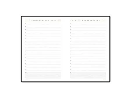 Ежедневник недатированный А5 Mercury