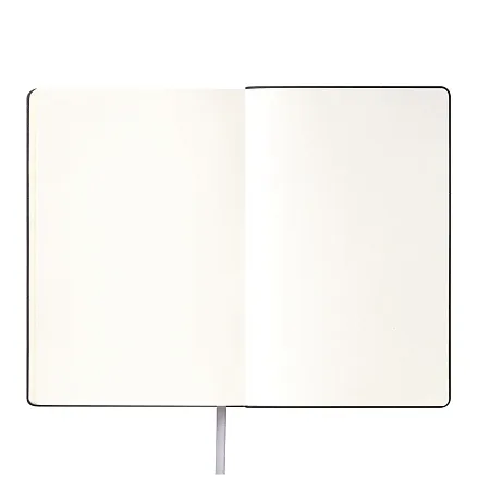 Ежедневник Portobello Trend, Spark, недатированный, серебряный (без упаковки, без стикера)