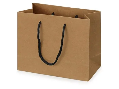 Пакет подарочный Kraft S