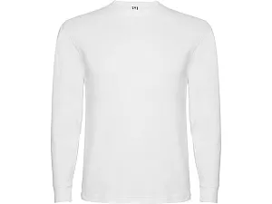 Футболка с длинным рукавом Pointer мужская