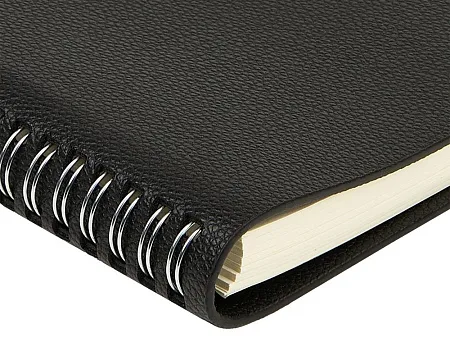 Ежедневник недатированный А5 Alba