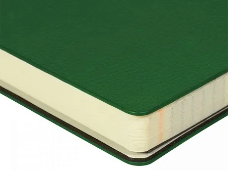 Ежедневник недатированный А5- Megapolis Flex Smart