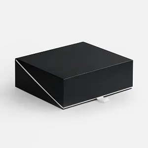 Коробка Artikus, черная