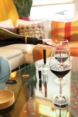 Профессиональный винный набор Vino, 4 шт.