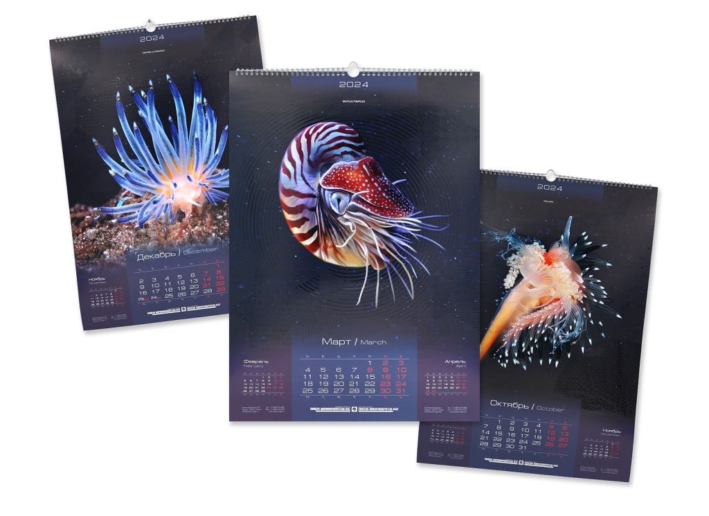Календари портфолио.jpg Календари портфолио.jpg