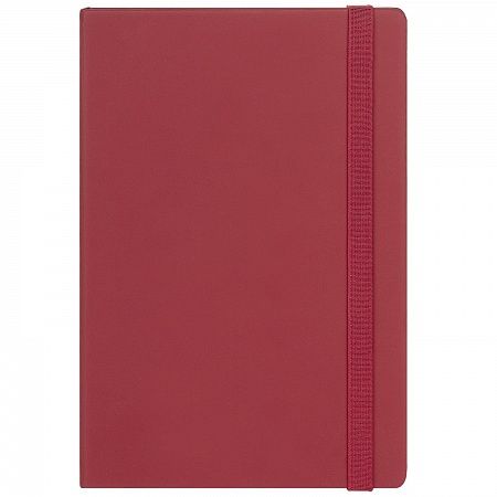 Ежедневник недатированный  Alpha BtoBook, красный